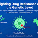 Konde, V. and Majiwa, P.O.A. (1999). Search for genetic markers for drug resistance in T. congolense. The workshop of EU-INCO-DC concerted Action on management of drug resistance, ILRI,