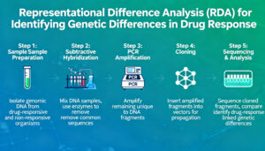 Konde, V. and Majiwa, P.O.A. (1999). Application of RDA to study two isogenic clones of T. congolense that differ in their response to drug therapy. ISCTRC conference.