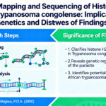 Konde, V. and Majiwa, P.O.A. (2000), Physical mapping and sequencing of the histone H2B gene of T. congolense. The Biochemistry and Molecular Biology Society Conference of Zimbabwe.